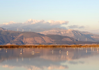 parathrhthrio-pouliwn